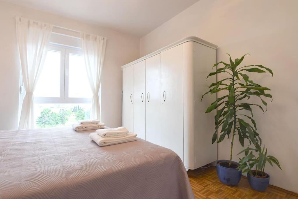 Apartman Ilijana Zadar Bagian luar foto