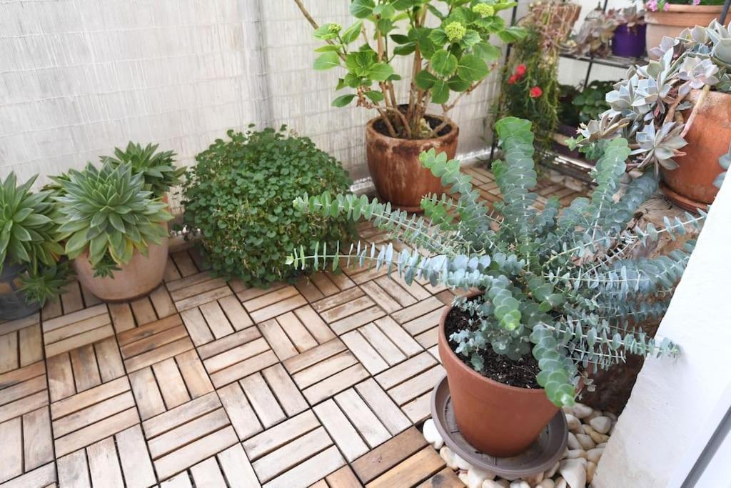 Apartman Ilijana Zadar Bagian luar foto